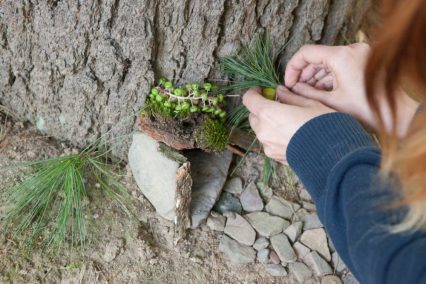 More than 30 activities