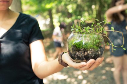 More than 30 activities